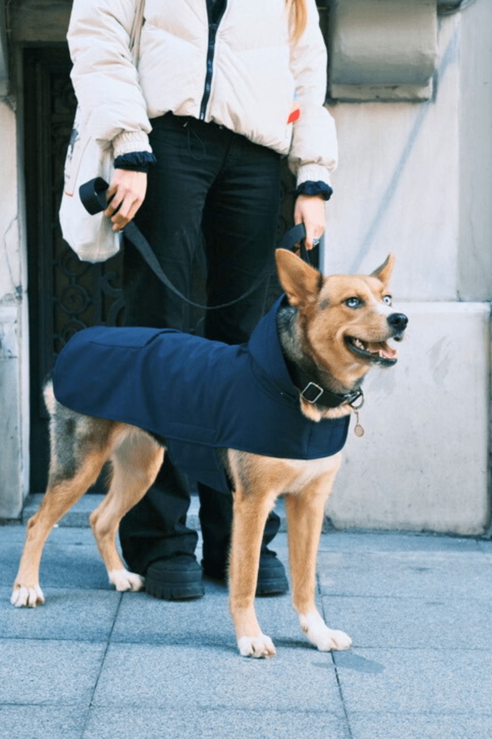 St. Pia-Pluvio Köpek Yağmurluğu-Köpek-2-fleurdirect.live