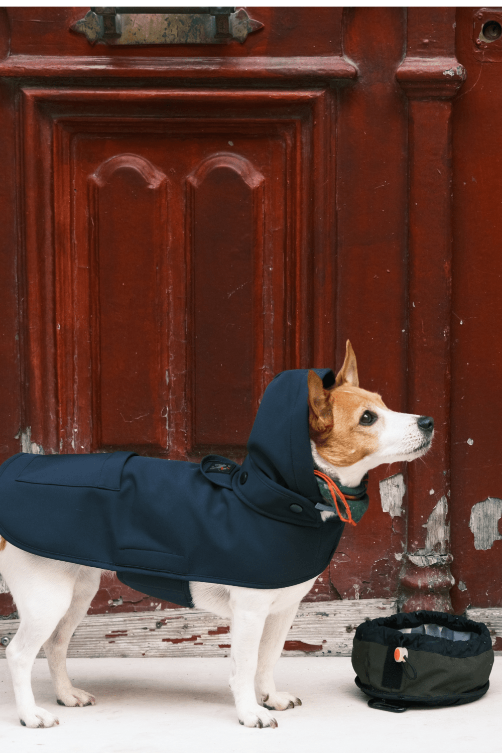 St. Pia-Pluvio Köpek Yağmurluğu-Köpek-3-fleurdirect.live