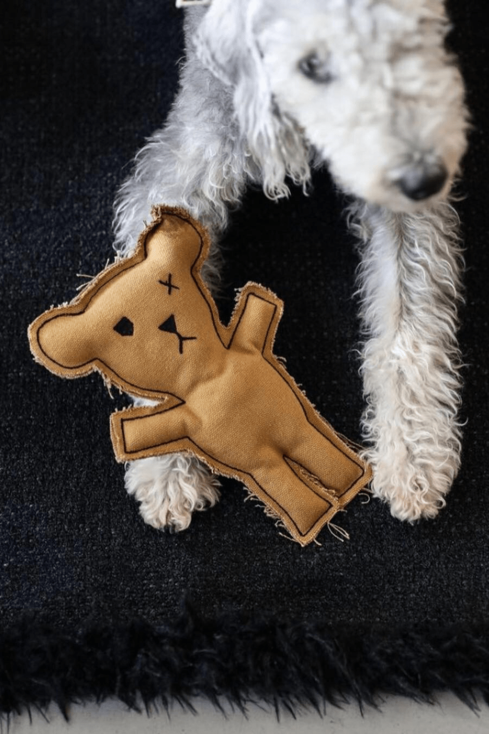 St. Pia-Robear El Yapımı Kedi + Köpek Oyuncağı-Toffee-Köpek-5-fleurdirect.live