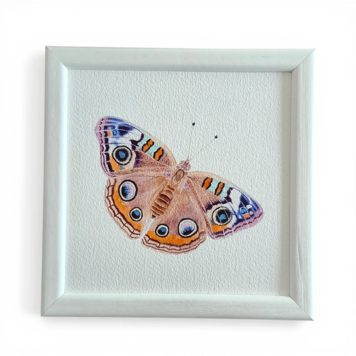 Kelebek Suluboya Fine Art Baskı