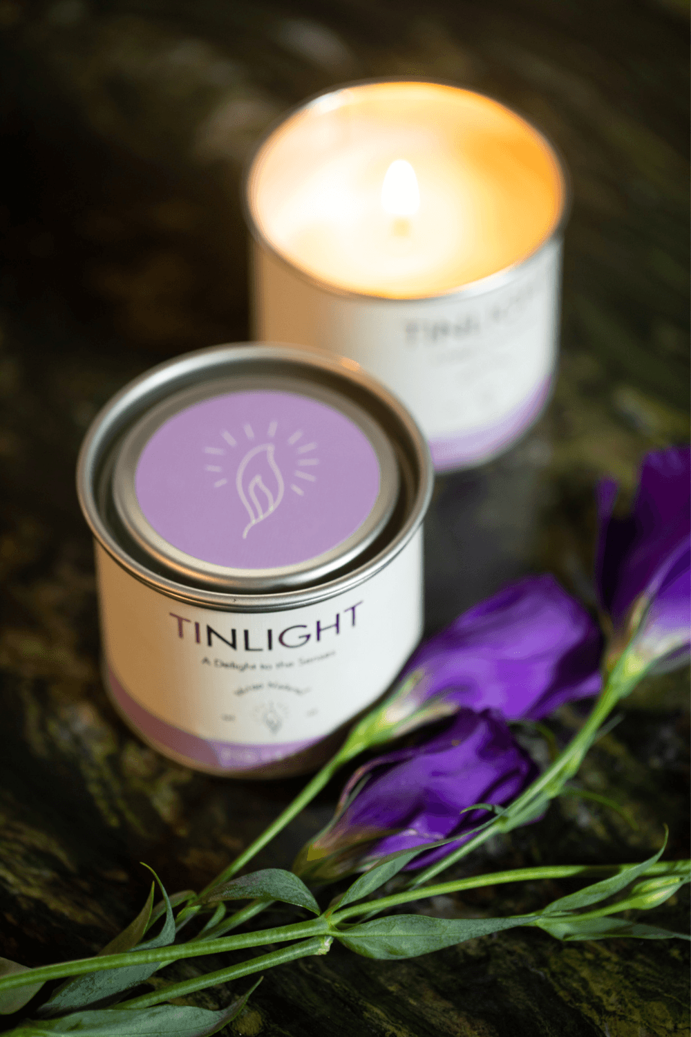 Tinlight-TINLIGHT FIG TREE 170 GR-Mum-3-fleurdirect.live