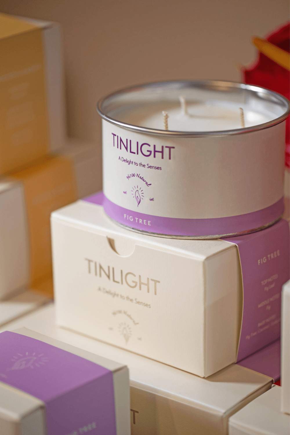 Tinlight-TINLIGHT FIG TREE 340 GR-Mum-5-fleurdirect.live
