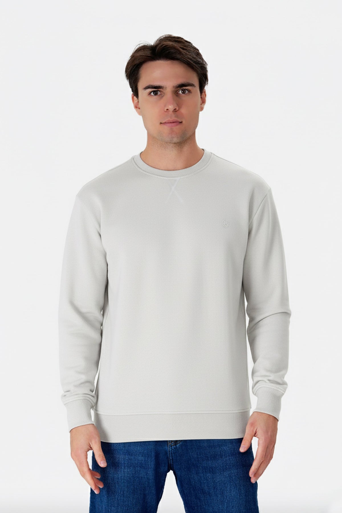 Regular Fit Logo Nakışlı Sweatshirt, Taş - 0