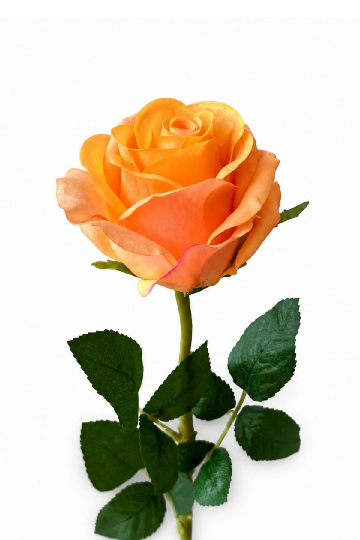 Memonza-Rosella Gerçekçi Islak Dokulu Dekoratif Gül Dalı-Dekoratif Çiçek-3-fleurdirect.live