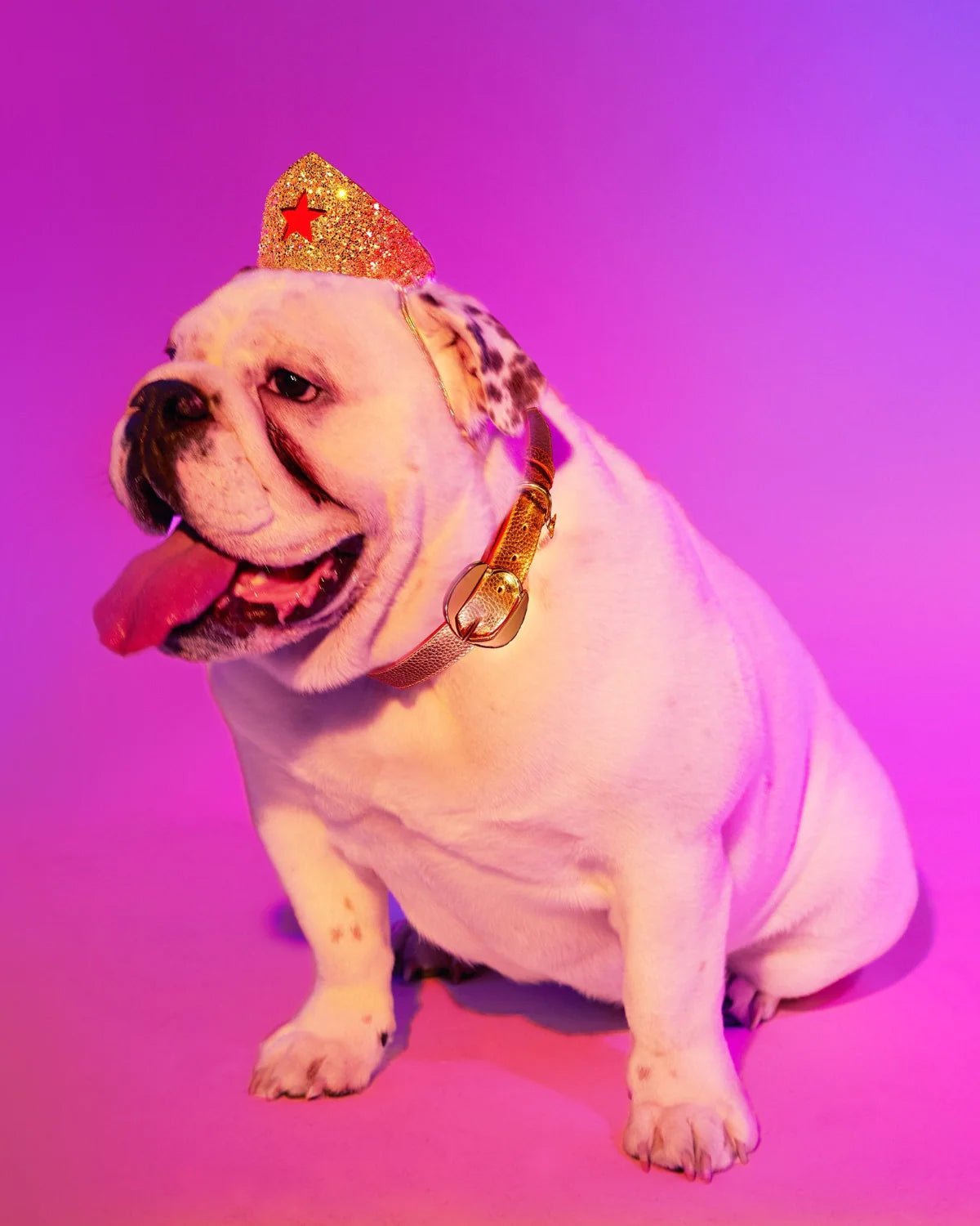 Golden Star Tiara For Canines