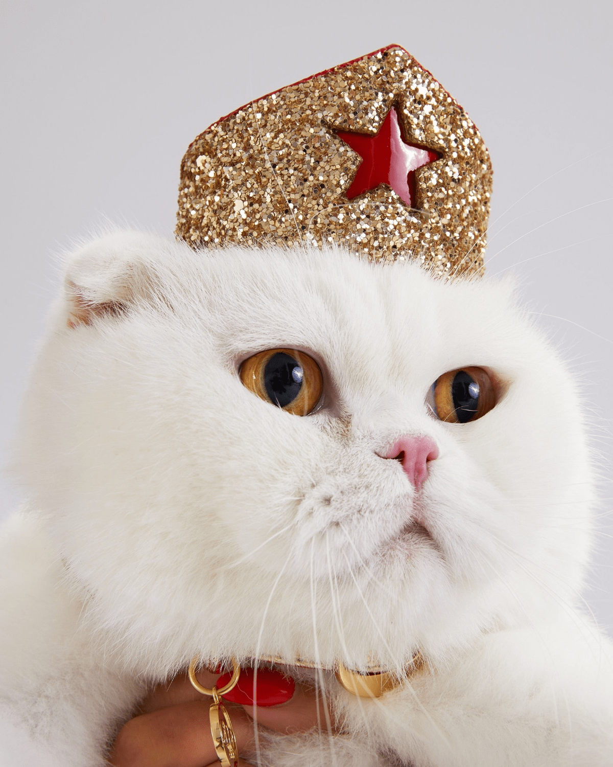 Golden Star Tiara For Felines