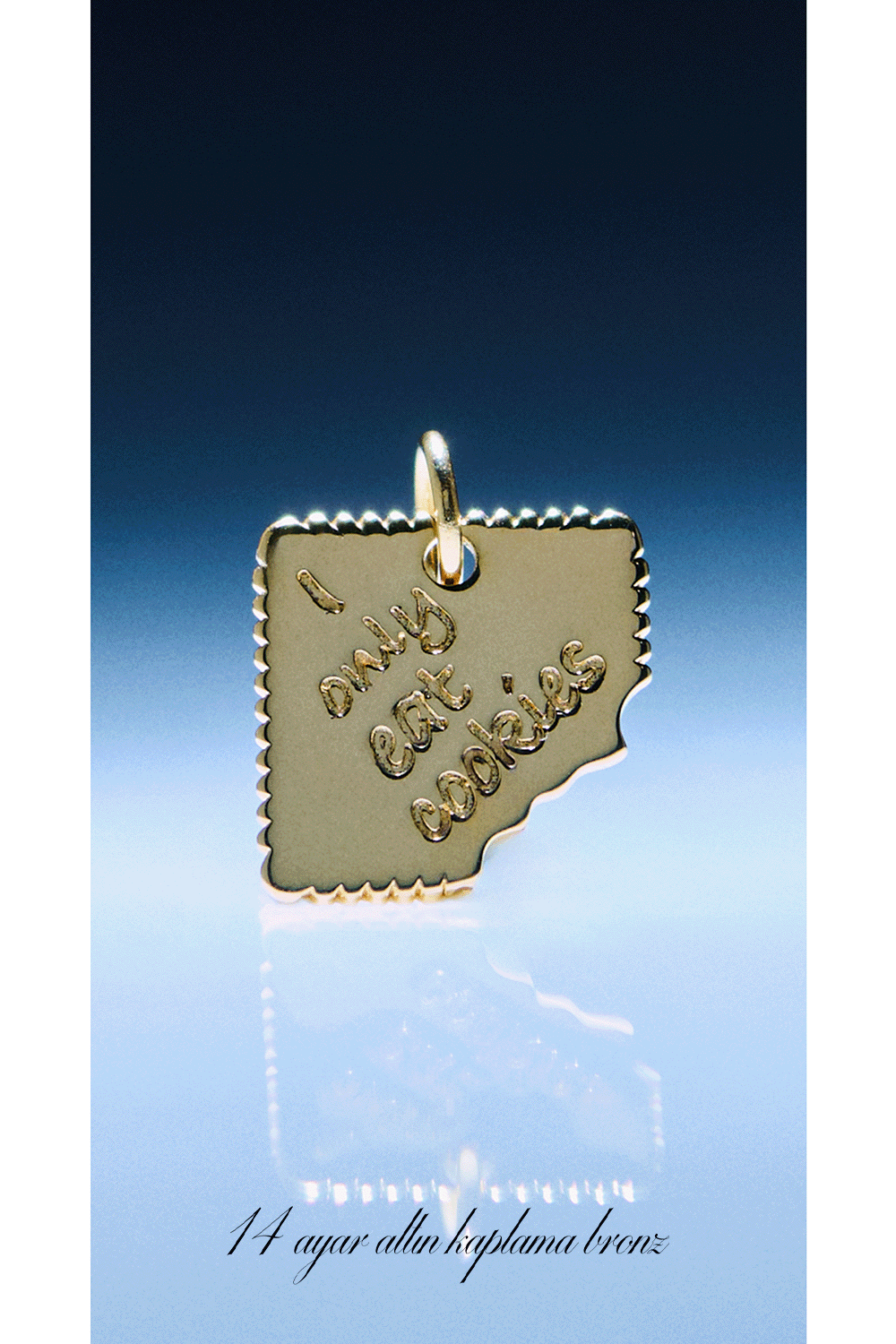 I Only Eat Cookies Pet Charm - Altın - 9
