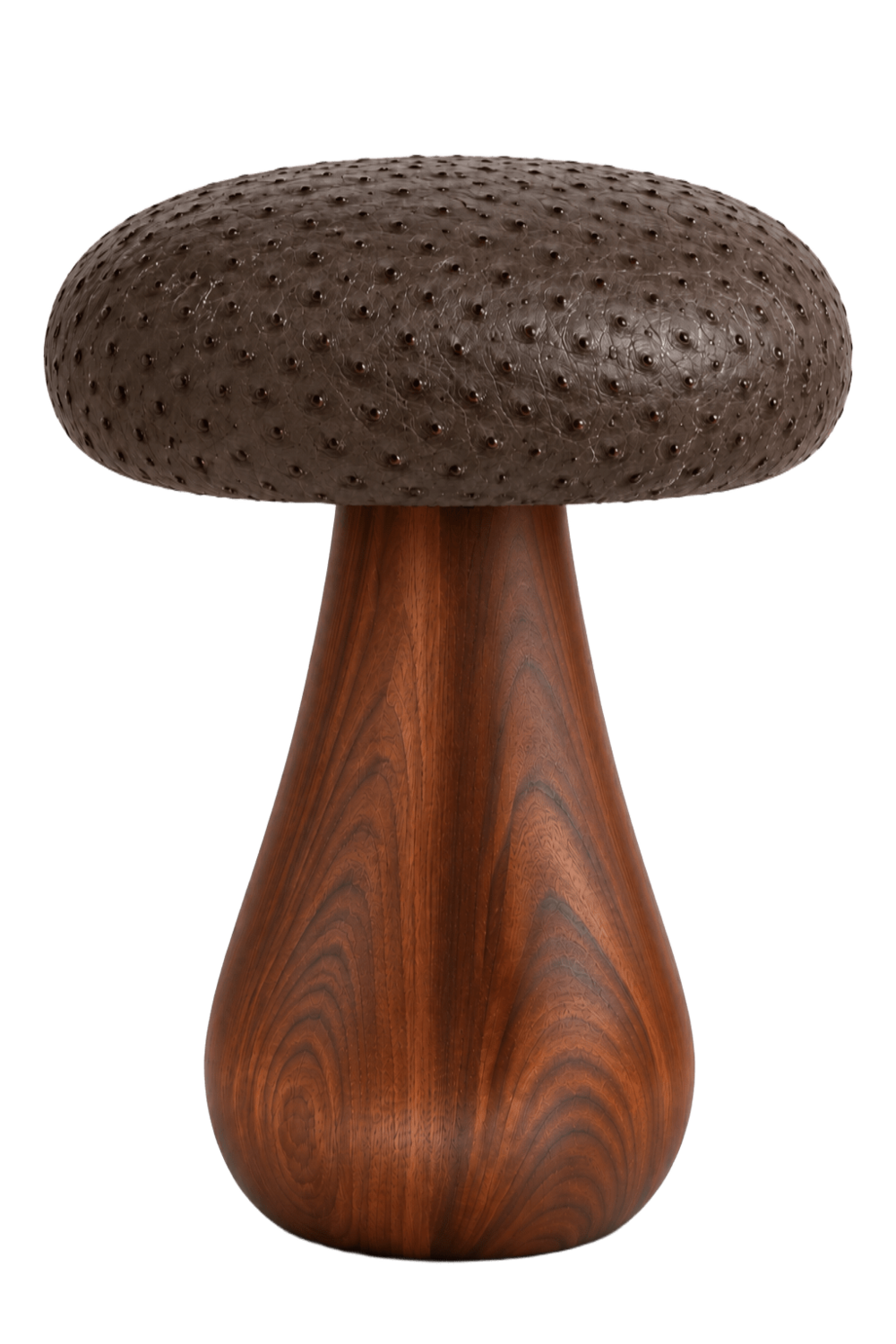 Nita Puf - 1