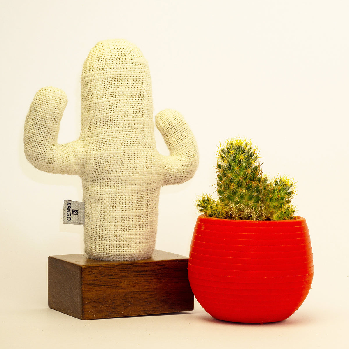 Kayigo-Kayıgo Cactus Lavanta Dolgulu Notluk-Masaüstü Organizer-4-fleurdirect.live