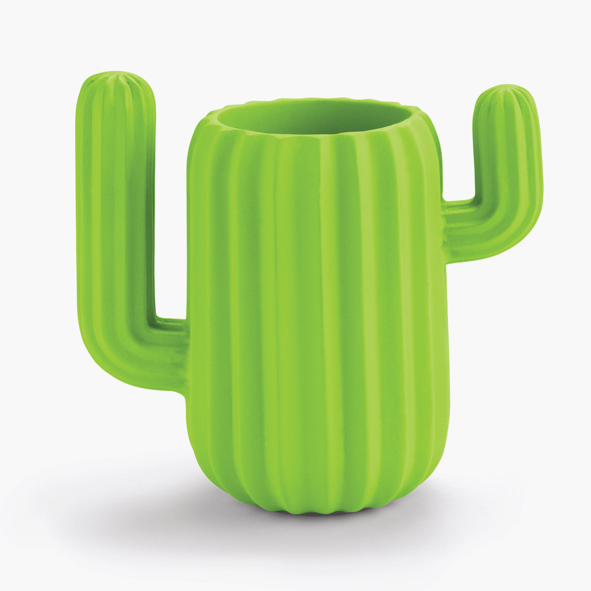 Mustard-Mustard Cactus Masaüstü Organizer-Masaüstü Organizer-2-fleurdirect.live