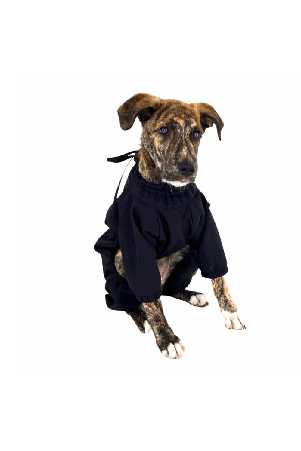 St. Pia-Astro Köpek Tulum Mont - Lacivert-Köpek-4-fleurdirect.live