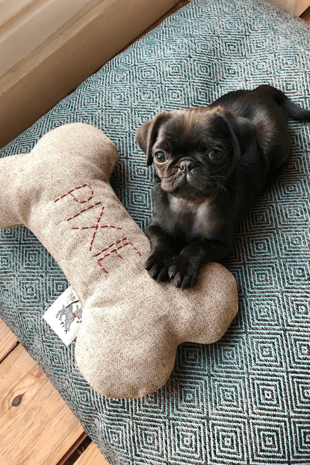 St. Pia-Bone Köpek Yastığı - Nutmeg - Kişiselleştirilebilir-Köpek-1-fleurdirect.live