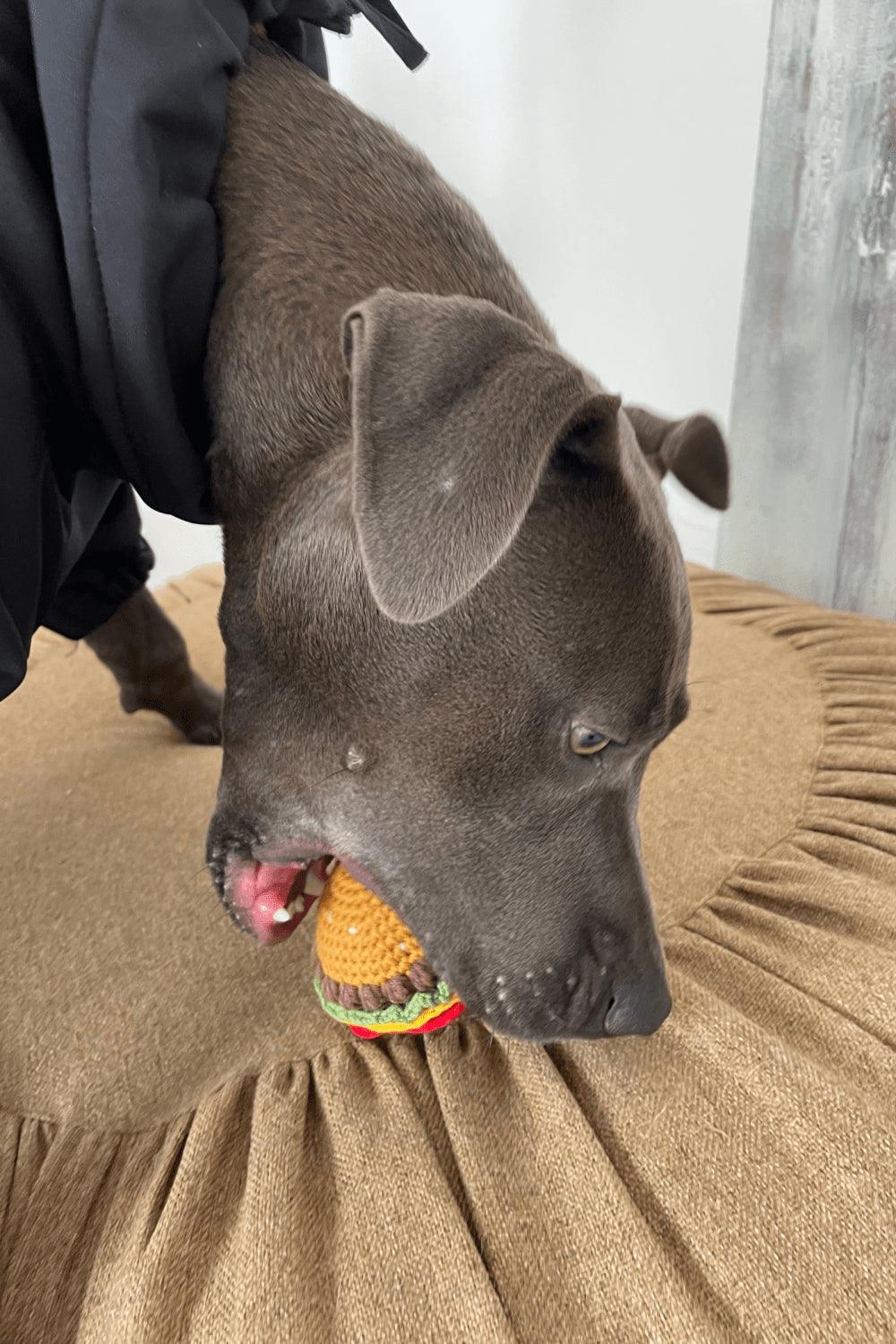 St. Pia-Burger El Yapımı Kedi + Köpek Oyuncağı-Köpek-3-fleurdirect.live