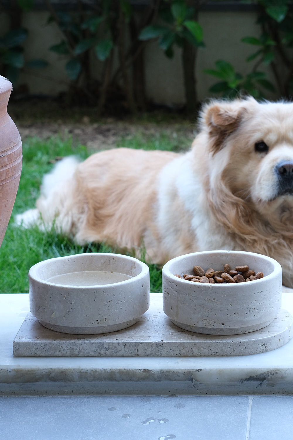Köpek / Kedi Mama Ve Su Kabı - 0