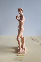 David | Gül - 4