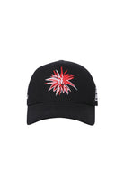 Ace Nayman-Sd Cap-1-fleurdirect.live