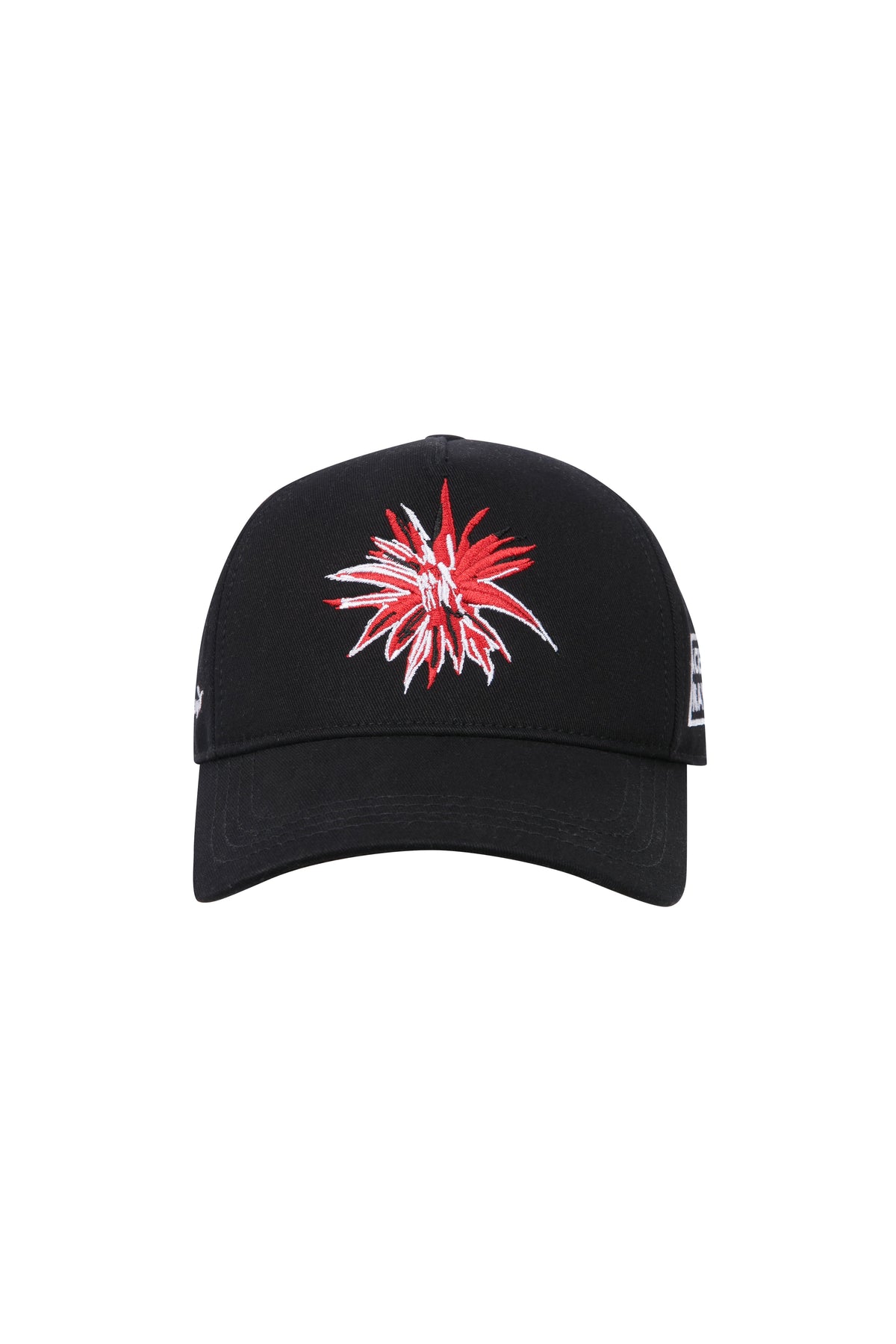 Ace Nayman-Sd Cap-1-fleurdirect.live