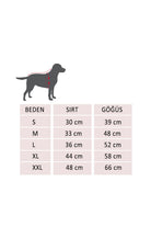 Alphadog Design-Santa Pet Sweatshirt-Köpek-3-fleurdirect.live