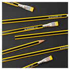 Blackwing-Volume 21 Shaker Koleksiyonu 12'li Ahşap Kurşun Kalem Seti-Kalem Seti-2-fleurdirect.live