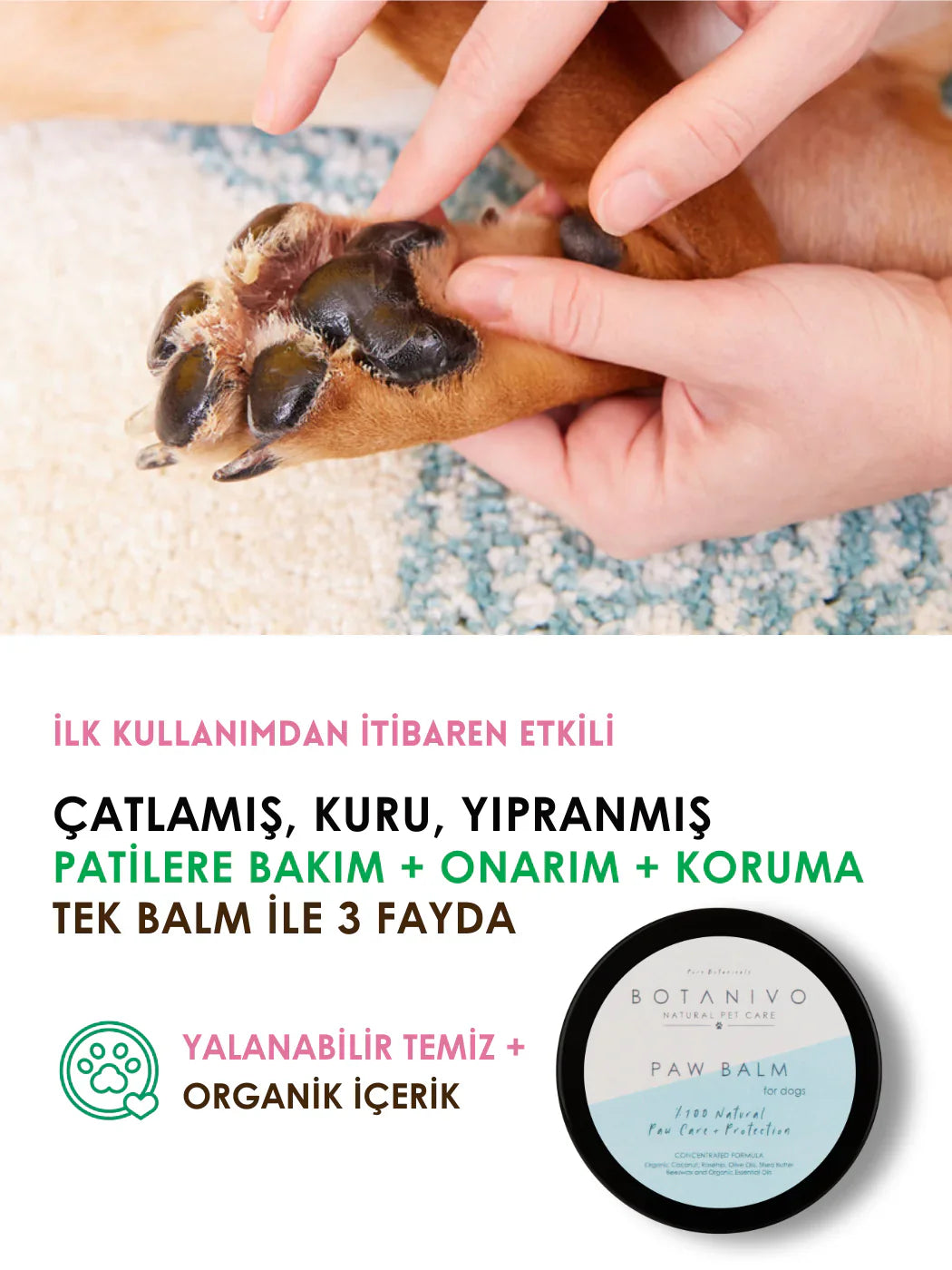 Botanivo-Botanivo Köpekler İçin Pati Bakım + Onarım + Koruma Balmı | Organik İçerikli | 30 Ml-Köpek-3-fleurdirect.live