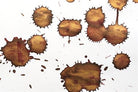 Diamine-Diamine Ink Shimmering Mürekkep Dragon Blood2020-Mürekkep-6-fleurdirect.live