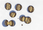 Diamine-Diamine Ink Shimmering Mürekkep Shimmering Seas-Mürekkep-4-fleurdirect.live
