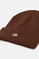 Dickies-Gibsland Beanie Java-Şapka-3-fleurdirect.live