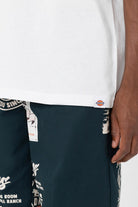 Dickies-Grainfield Tee SS White-T-Shirts-7-fleurdirect.live