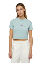 Dickies-Maple Valley Tee Blue Surf-T-Shirts-1-fleurdirect.live