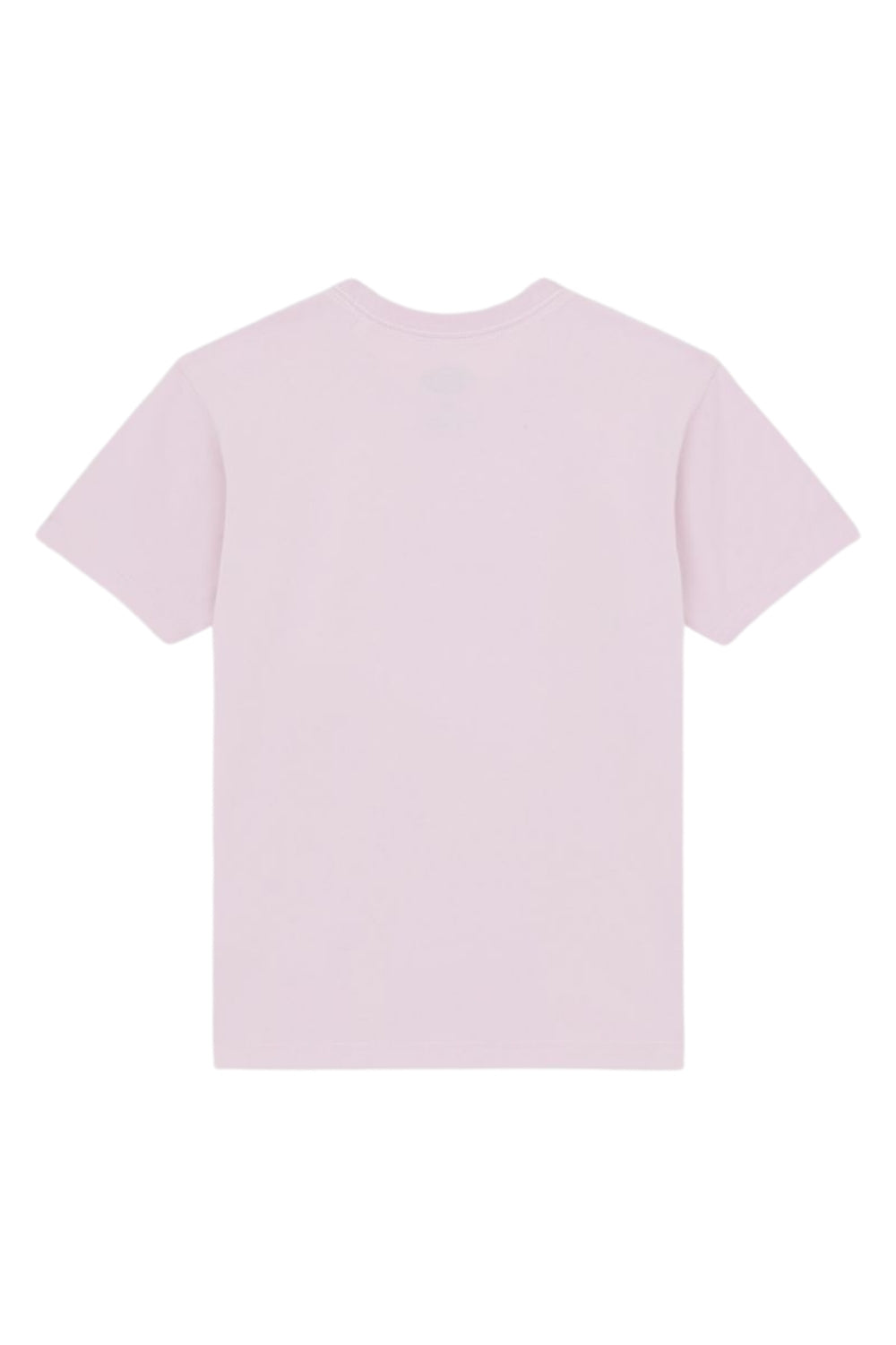 Dickies-Maple Valley Tee Winsome Orchid-T-Shirts-7-fleurdirect.live