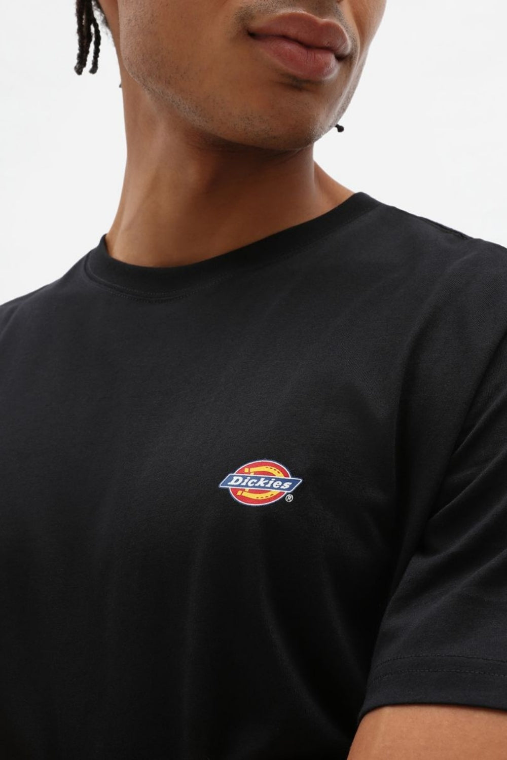 Dickies-Mapleton Ss Tee Black-T-Shirts-2-fleurdirect.live