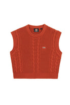 Dickies-Mullinville Vest W Bombay Brown-Kazak & Triko-5-fleurdirect.live