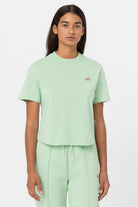 Dickies-Oakport Quiet Green-T-Shirts-1-fleurdirect.live