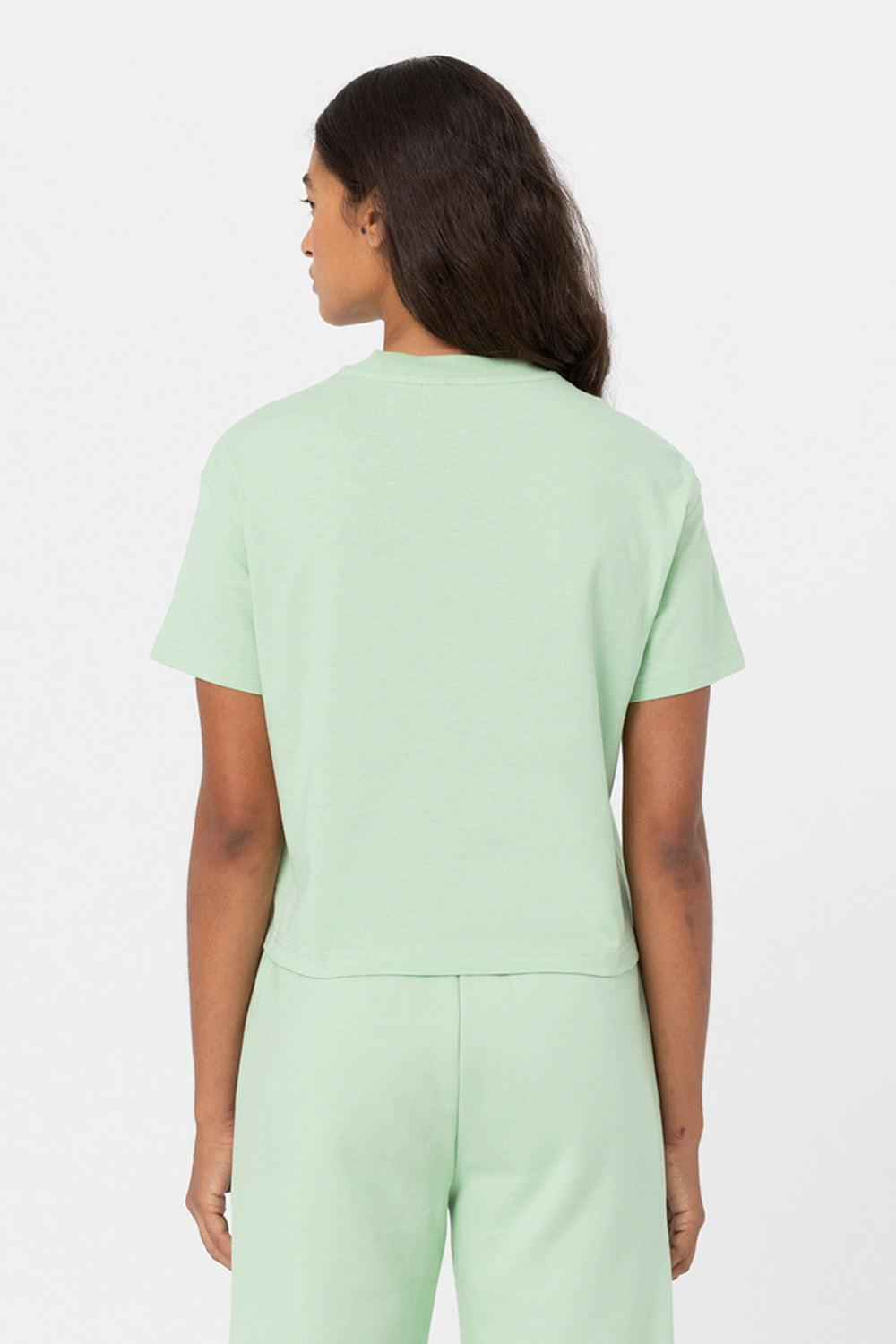 Dickies-Oakport Quiet Green-T-Shirts-2-fleurdirect.live