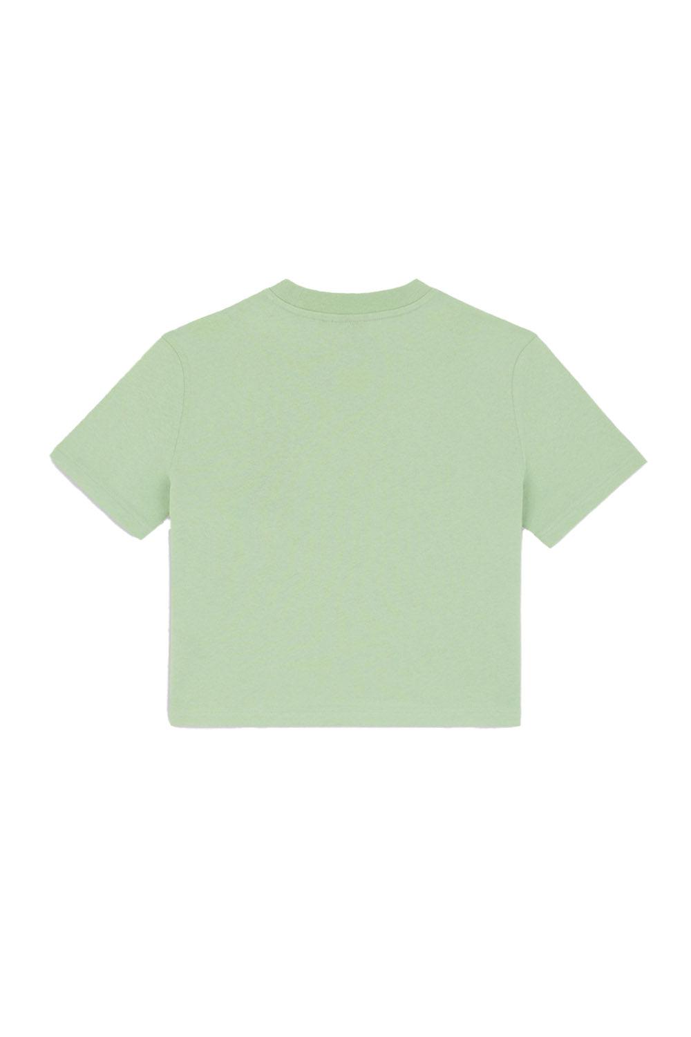 Dickies-Oakport Quiet Green-T-Shirts-6-fleurdirect.live