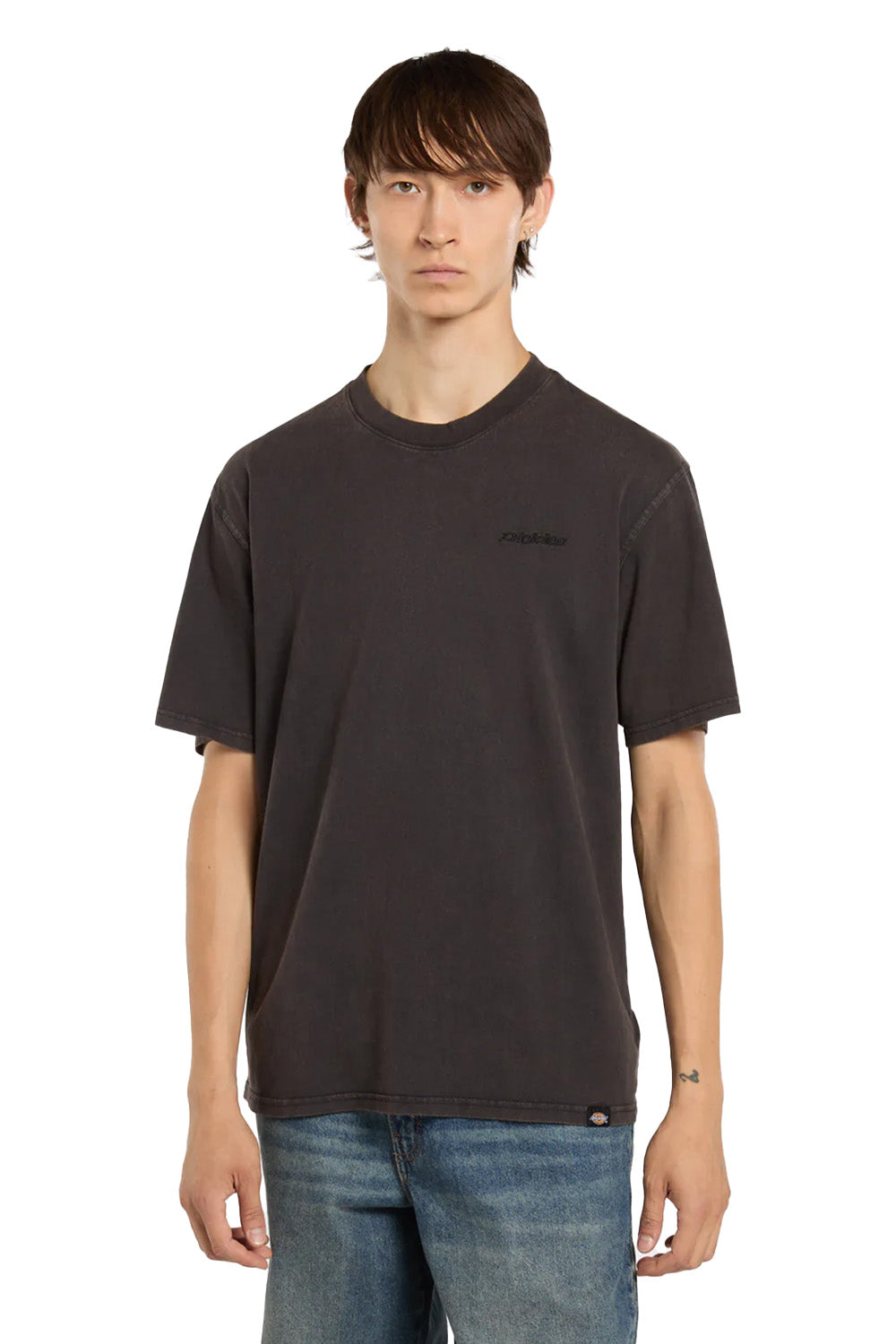 Dickies-Plentywood Tee Ls Erkek Yıkamalı Kısa Kollu T-Shirt-T-Shirts-3-fleurdirect.live