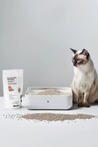 Docho-Kedi Kumu Koku Giderici Aktif Karbon 400 Gr Ve Koku Ve Leke Çıkarıcı Enzimatik Sprey 500 Ml Seti-Kedi-4-fleurdirect.live