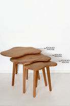 Fagus Wood-3'lü Zigon Bulut Sehpa Seti Masif Doğal Ahşap – İskandinav Tarzında Şık Ve Modern Tasarım, Yan & Dekoratif Sehpa-Sehpa-5-fleurdirect.live