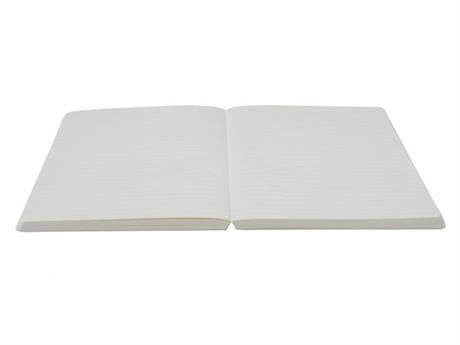 Kobeha-Kobeha Graphilo Japon Dolma Kalem Kağıdı çizgili Defter 01 00221-Çizgili-2-fleurdirect.live