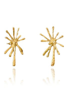 Linya Jewellery-Dera Büyük Küpe-Küpe-1-fleurdirect.live