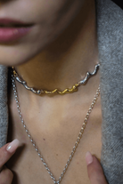 Linya Jewellery-Dery Çift Renk Damla Kolye Choker-Kolye-7-fleurdirect.live