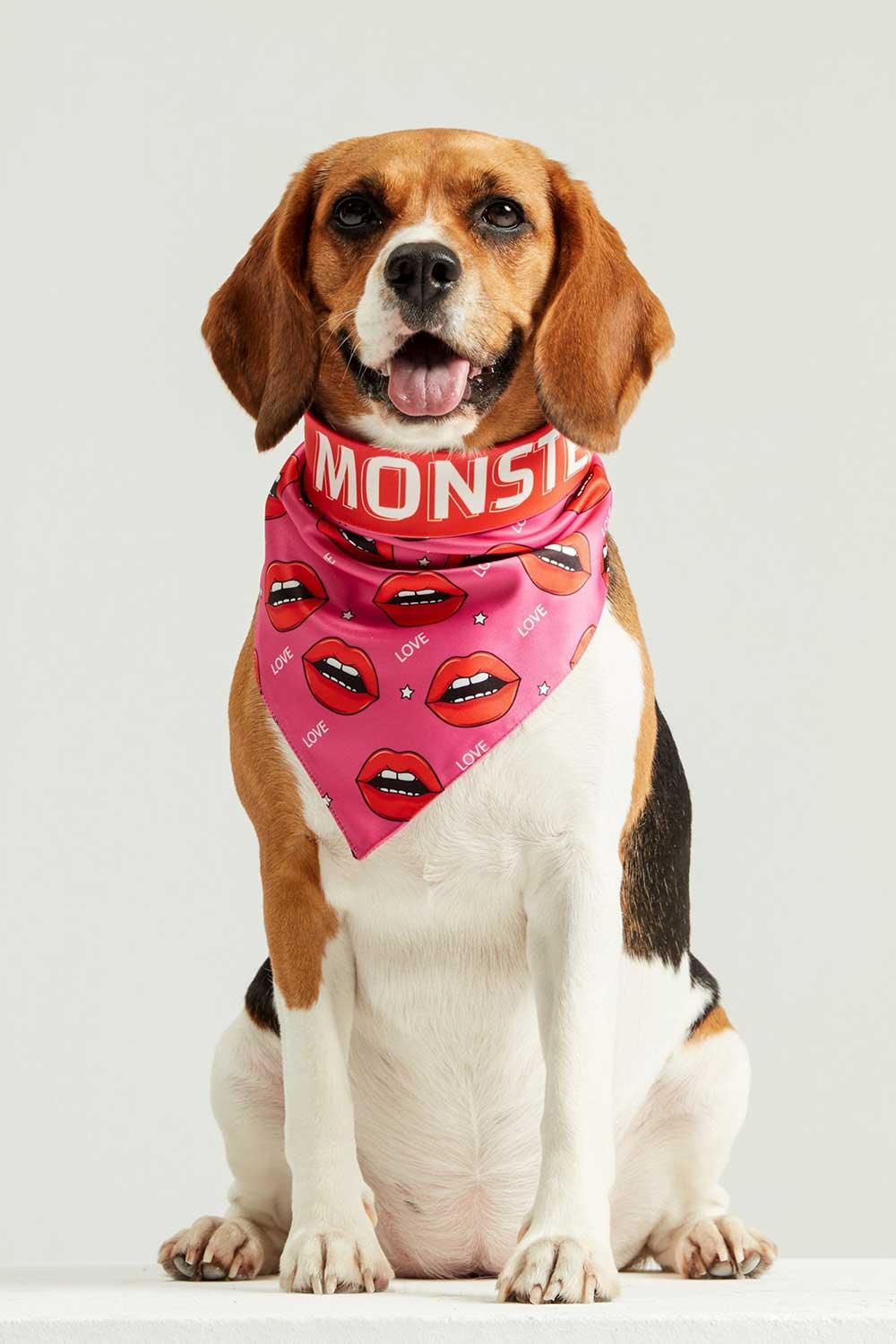 Little Monsters-Savage Love Bandana-Köpek-4-fleurdirect.live