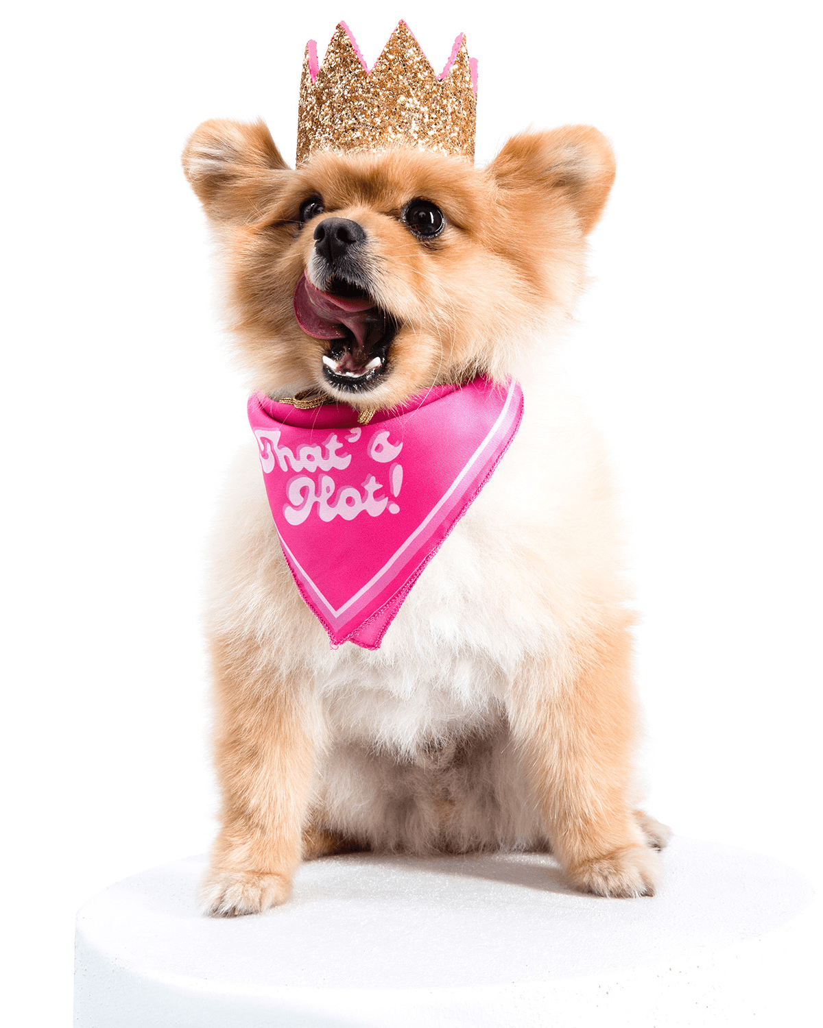 That'S Hot! Dog Bandana