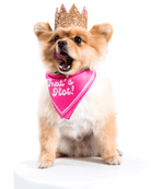 That'S Hot! Dog Bandana