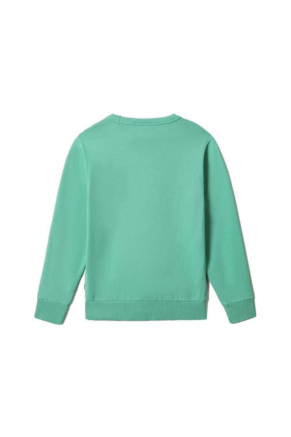 Napapijri-Kids B-Box C 1 Green Spruce-Sweatshirts & Hoodies-3-fleurdirect.live