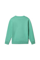 Napapijri-Kids B-Box C 1 Green Spruce-Sweatshirts & Hoodies-3-fleurdirect.live