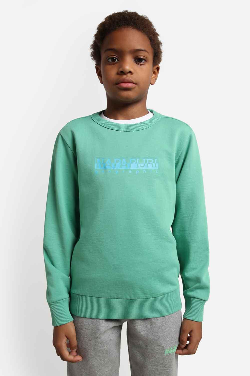 Napapijri-Kids B-Box C 1 Green Spruce-Sweatshirts & Hoodies-6-fleurdirect.live
