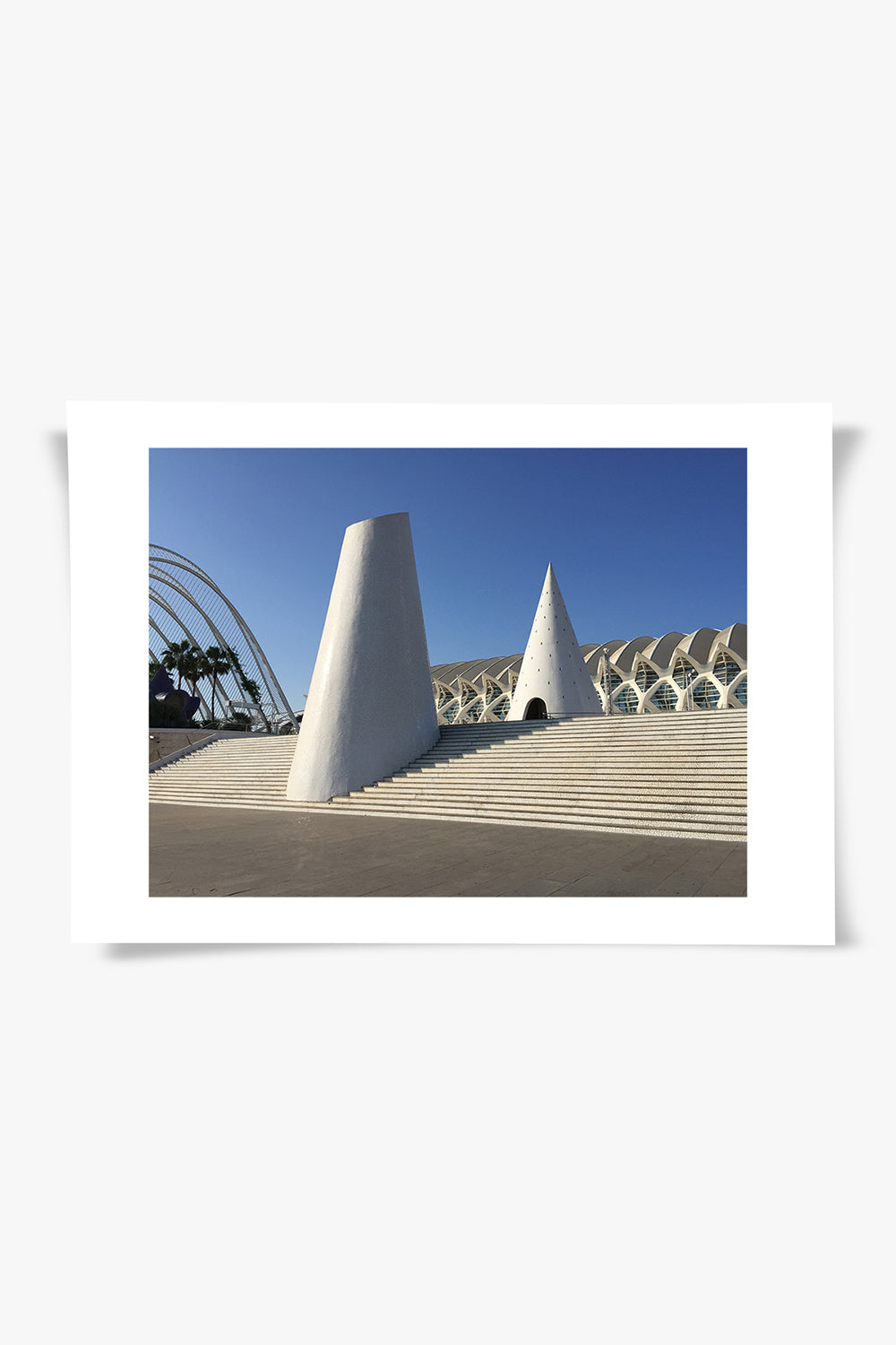 ODA.products-Cones Art Print-Tablo-5-fleurdirect.live
