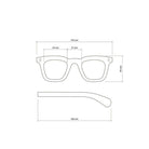 Okkia Firenze Unisex Güneş Gözlüğü Siyah Havana / Lens: Yeşil Gradyan