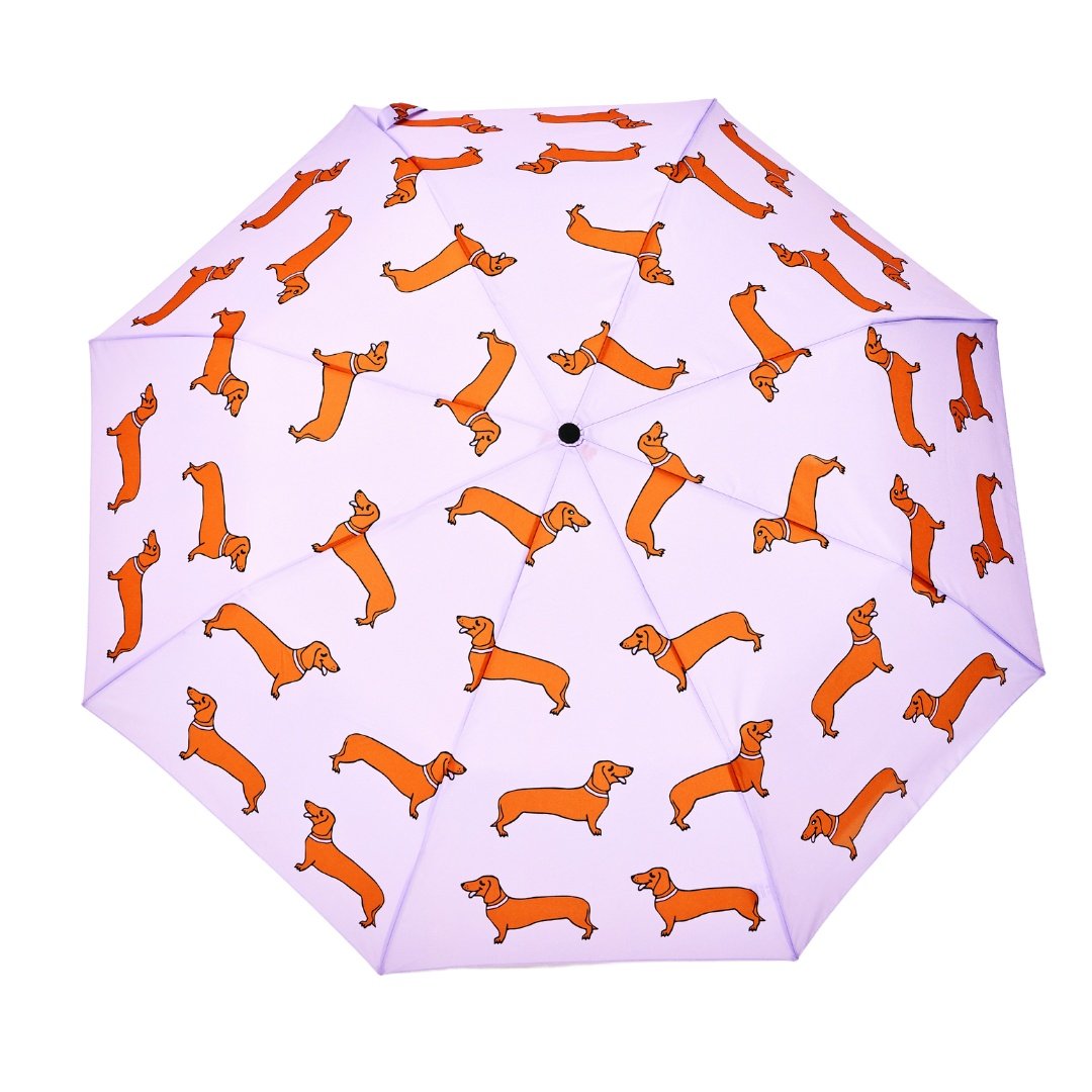 Original Duckhead-Original Duckhead Duck Kompakt şemsiye Dachshund Purple-Şemsiye-9-fleurdirect.live
